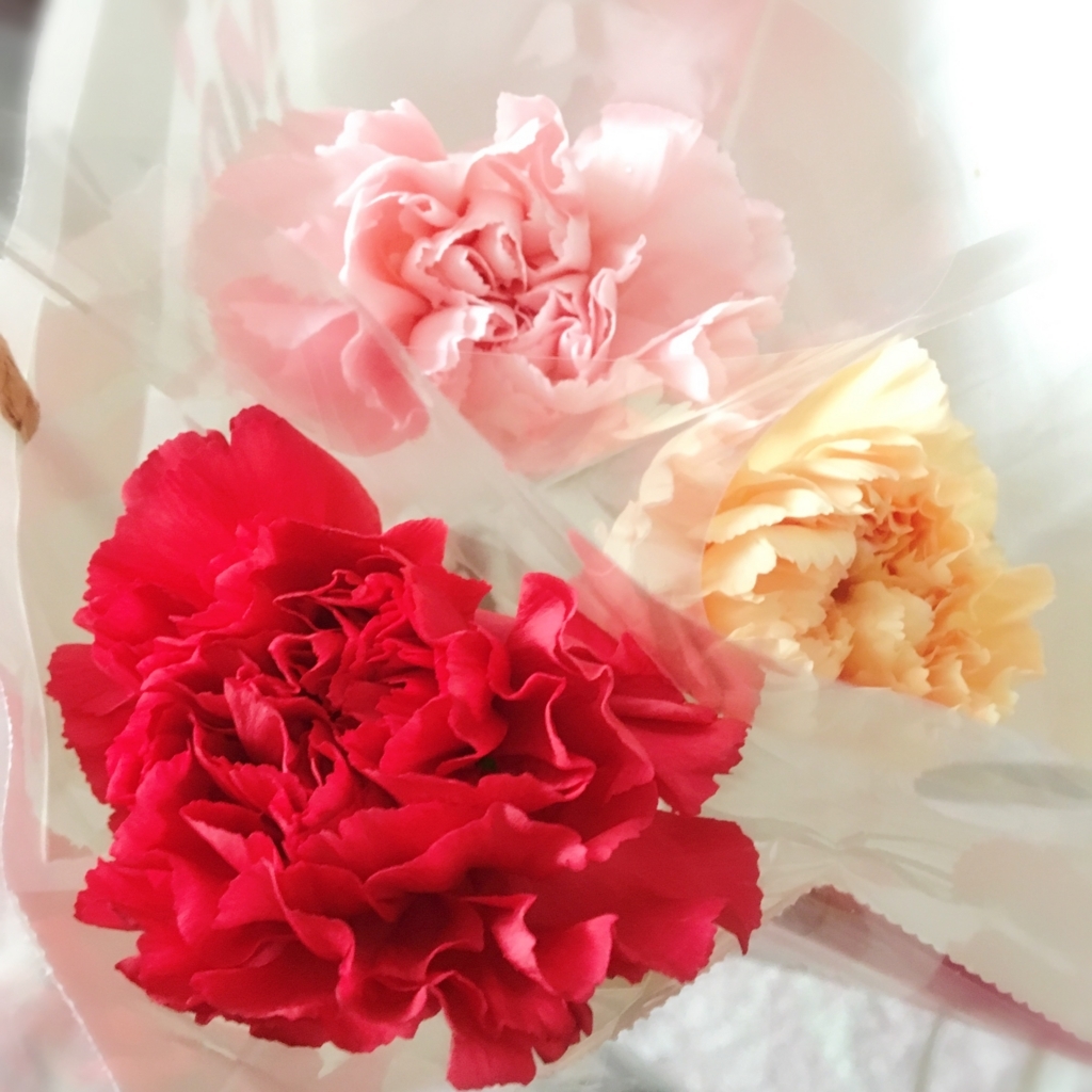 母の日のカーネーション